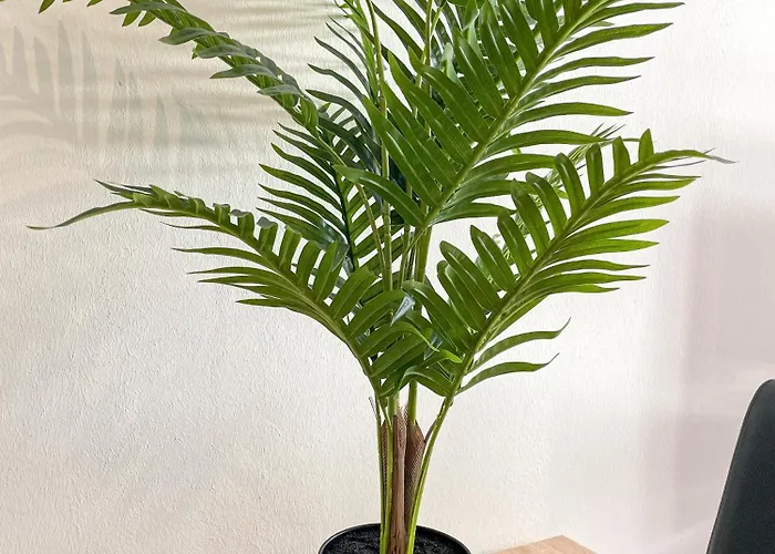 Mrs. Gold & Mr. 1 Appartement